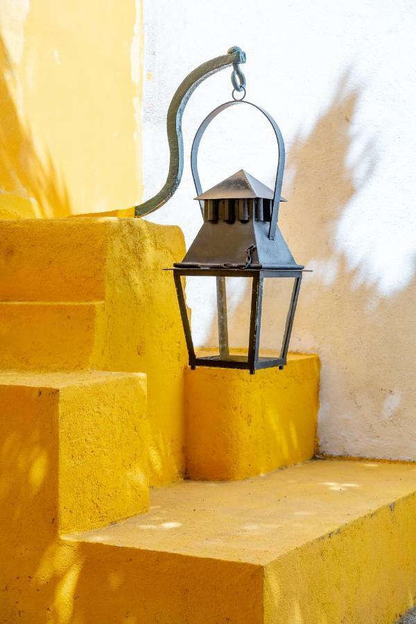 Bright & Spacious With Orange Tree Patio, By Timecooler Lisboa Ngoại thất bức ảnh